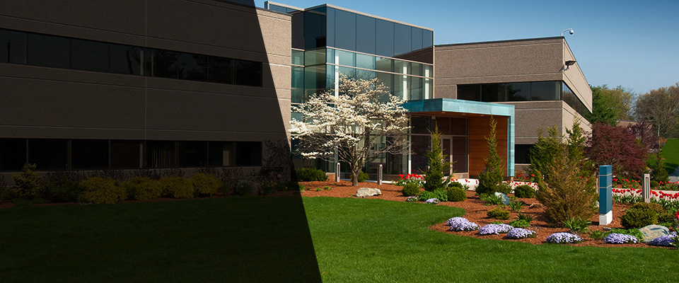 Minneapolis Landscapers
